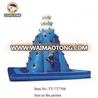 0.55mm PVC Hot Sells Castle Slide Inflatable Castle house,jumping castles for sale outdoor park